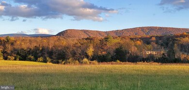 Lot 32,33,34,41 Stonewall Jackson Hwy, Bentonville, VA 22610 - photo 3