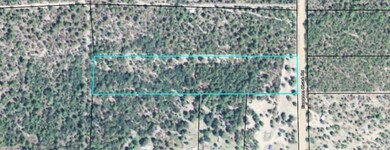 Boundary overlay