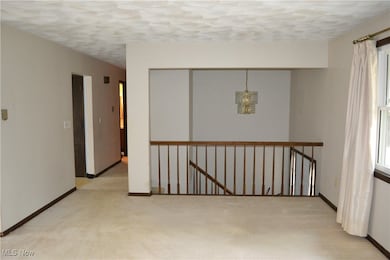 811 County Road 801, Ashland, OH 44805 - photo 7