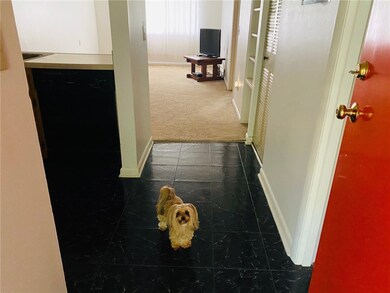 Welcome...  let Dori show you around!