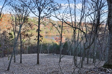 277 Whippoorwill Hollow Trail, Kimberling City, MO 65686 - photo 4