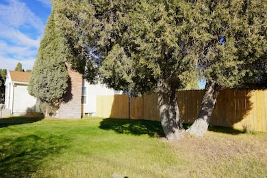 80 N Hooper Ave, Soda Springs, ID 83276 - photo 4