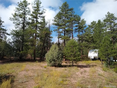 000 Gold Pan Trail, Cotopaxi, CO 81223 - photo 2