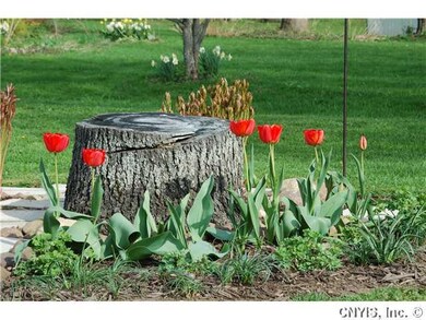 Yard/Garden