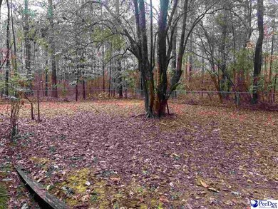 53 Drylog Ave, Kingstree, SC 29556 - photo 6