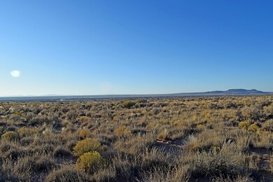 Lot 4 Rio Del Oro Loop unit 61, Los Lunas, NM 87031 - photo 2