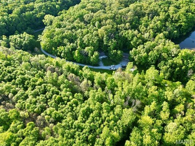 Drone / aerial view of a forest