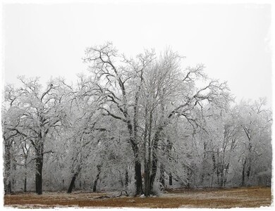 5600 N Fm 51, Weatherford, TX 76085 - photo 3