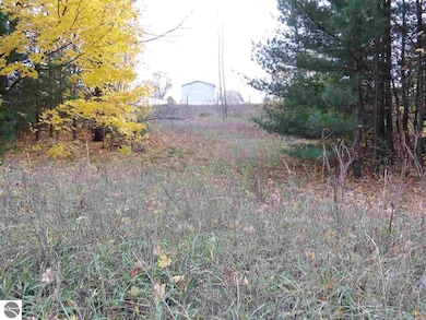 Lot 67 Eden St, Kingsley, MI 49649 - photo 3