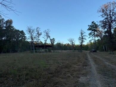 395 Texas 63, Burkeville, TX 75932 - photo 5