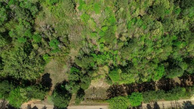 Bird's eye view with a view of trees