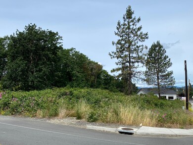 1600 Merlin Rd, Merlin, OR 97532 - photo 3