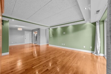 57 Broadlawn Park unit 21A, Chestnut Hill, MA 02467 - photo 4