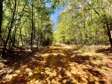 889 Rd, Minden, LA 71055 - photo 6
