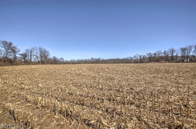 4 Sturbridge Ct, Lebanon Twp., NJ 08826 - photo 7