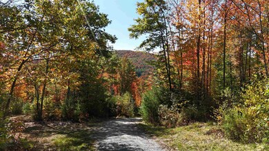 ROW Daniels Farm Rd, Waterford, VT 05819 - photo 6