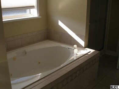 Master bath jetted tub