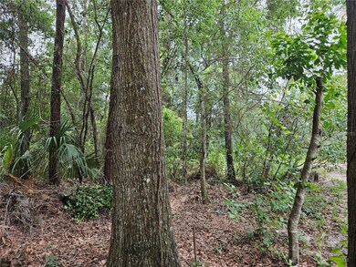 TBD SW 194th Ct unit LOT 37, Dunnellon, FL 34432 - photo 3