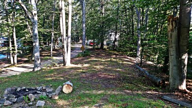 IMG_20170913_103610725 (3)