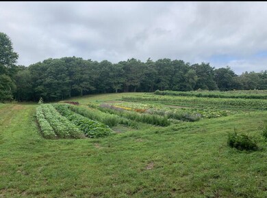 4 Wright Way, Falmouth, MA 02540 - photo 4