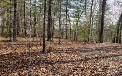 Additional View