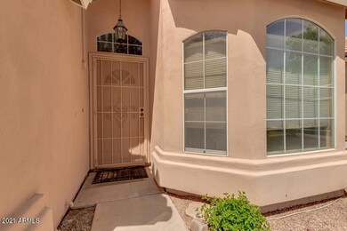 04-Saddleback