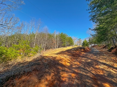 0 Belvedere Dr, Fieldale, VA 24089 - photo 6