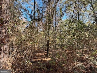 PARCEL Julian-Simpson Rd, Cochran, GA 31014 - photo 3