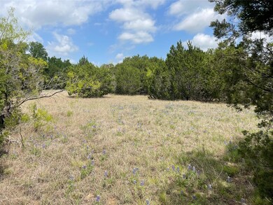 36033 Cedar Ridge Dr, Whitney, TX 76692 - photo 7