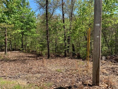 Lot 17 Chatburn Dr, Bella Vista, AR 72715 - photo 6
