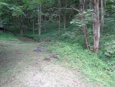 78 Rochetti Dr, Crumpler, WV 24868 - photo 7