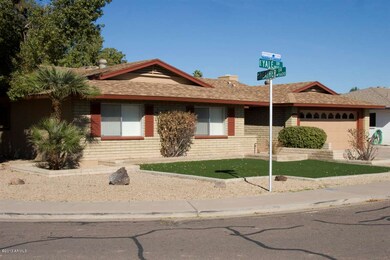 Front yard - 3