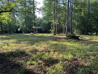 000 Perrott Rd, McComb, MS 39648 - photo 7