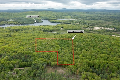 Aerial - Rock Haven Lake 1