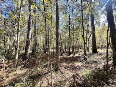 000 Hwy 35, Collins, MS 39428 - photo 4