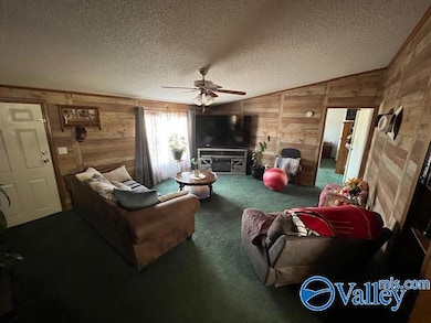 1166 County Road 160, Crossville, AL 35962 - photo 5