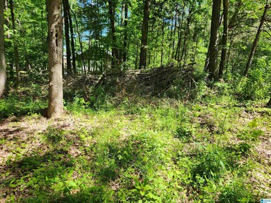 8720 Woodview Ln unit LOT  6-39, Pinson, AL 35126 - photo 3