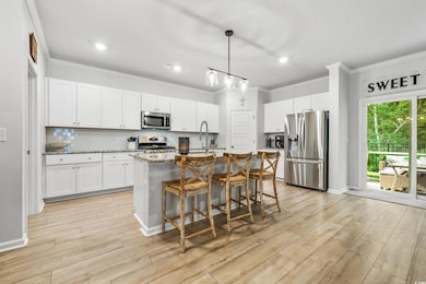 165 Leaflet Loop, Pawleys Island, SC 29585 - photo 6