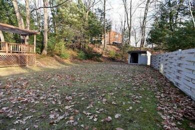 7. Alternate back yard