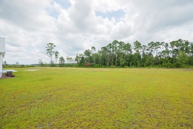 31 Conine Cir, Lakeland, GA 31635 - photo 7