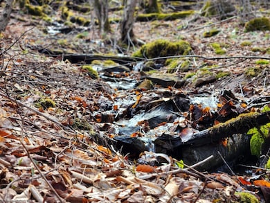 TBD Harper Trail, Valley Bend, WV 26293 - photo 7