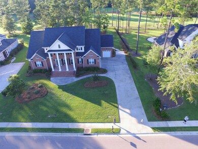 aerial pine valley