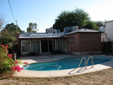 Back Yard - Pool