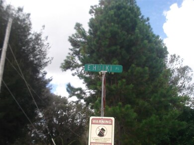 000 Ehu Iki Place, Makawao, HI 96768 - photo 2