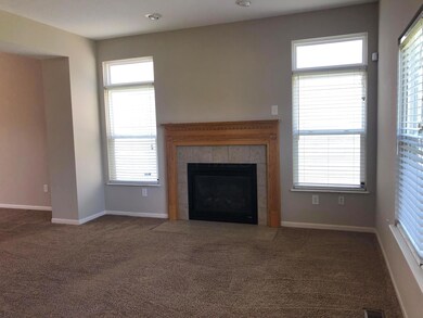 Gas Fireplace