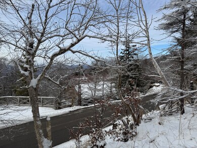 361 N Westridge Rd, Snowshoe, WV 24934 - photo 4