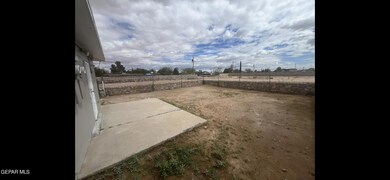 IMG_9375