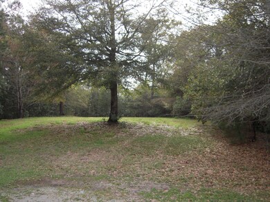 301 Cape Fear Loop