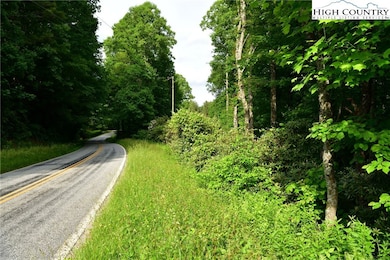 TBD Elk Knob Rd, Laurel Springs, NC 28644 - photo 3