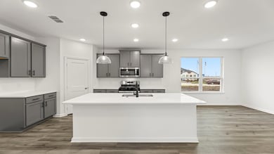13. 1258 Falls Rush - Kitchen